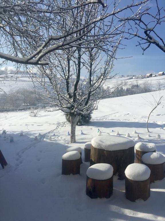 Pensiunea Casa Eden Mărişel Exterior foto